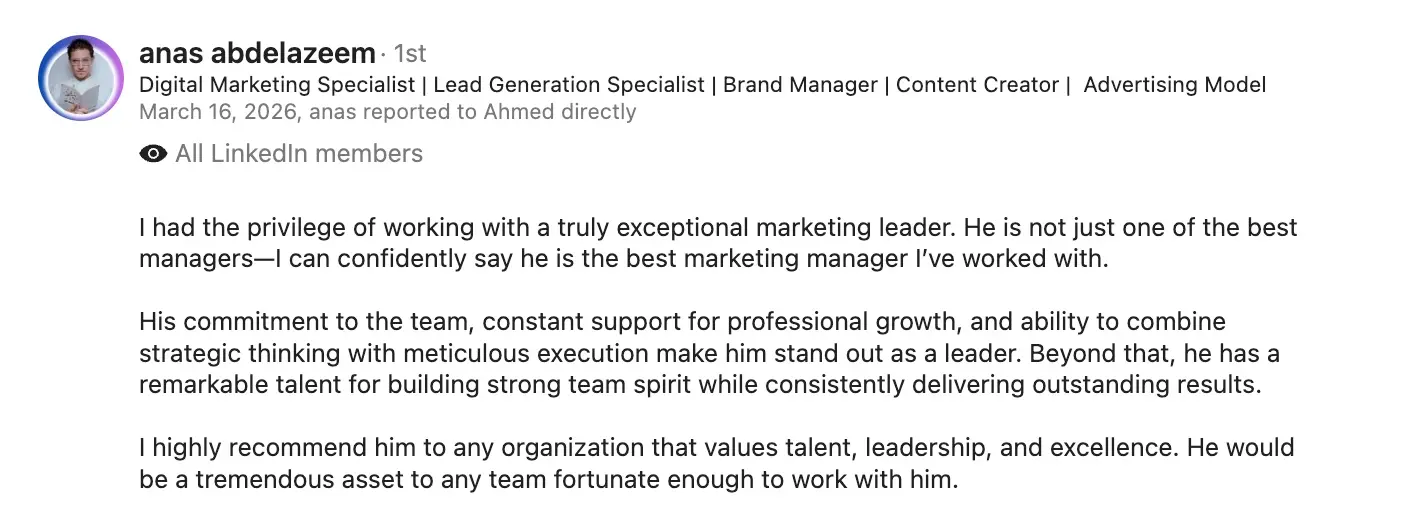 Anas Abdelazeem LinkedIn recommendation screenshot